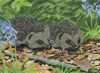 Hedgehog in Spring: Nigel Artingstall Wildlife Collection - Heritage Crafts