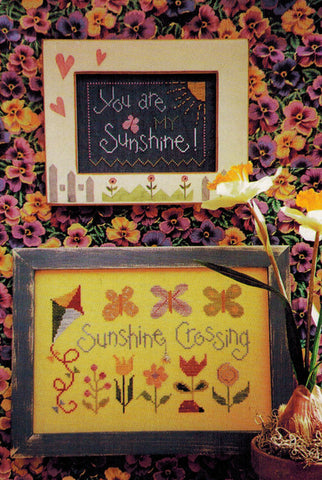 Sunshine Crossing - Lizzie Kate