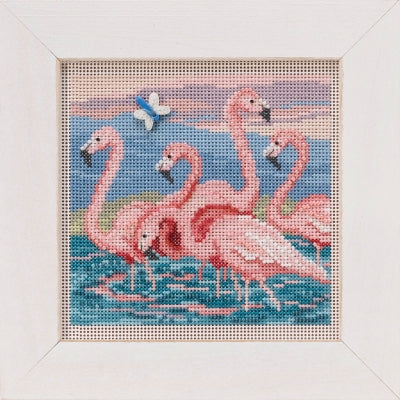 Flamingos - Mill Hill