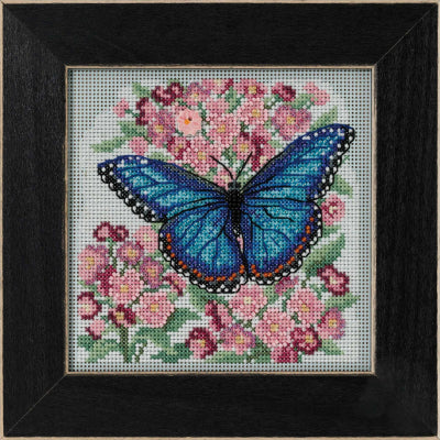 Blue Morpho Butterfly - Mill Hill