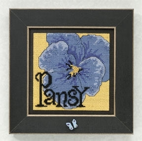 Pansy - Mill Hill