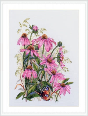 Coneflowers - Merejka