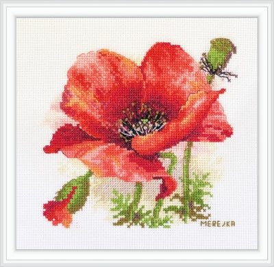 Red Poppy - Merejka