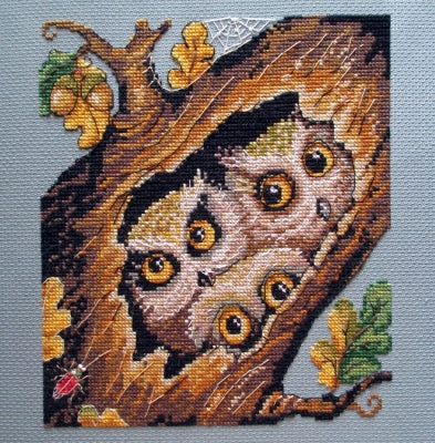Owls - Merejka
