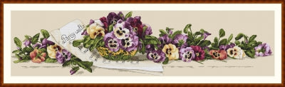 Pansy Waltz - Merejka