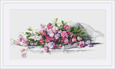 Sweet Pea - Merejka