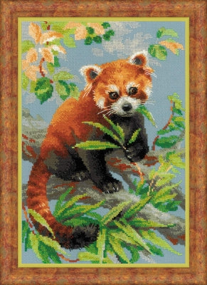 Red Panda - Riolis