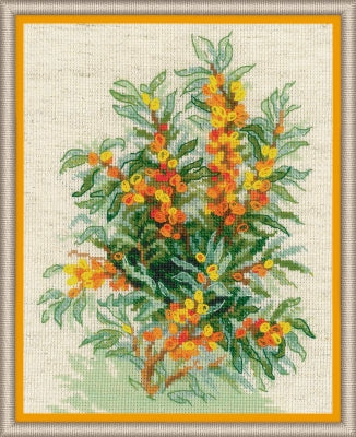 Sea Buckthorn - Riolis