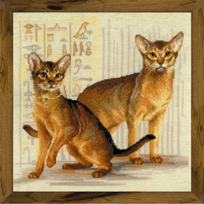 Abyssinian Cats - Riolis