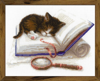 Kitten On The Book - Riolis