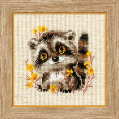 Little Raccoon - Riolis