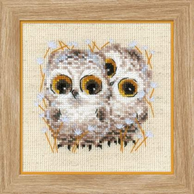 Little Owls - Riolis