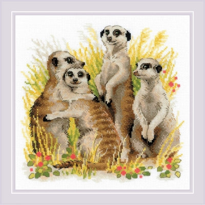 Meerkats - Riolis