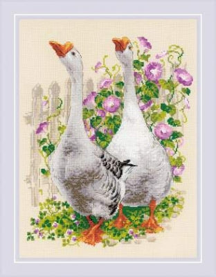 Geese - Riolis