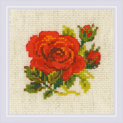 Red Rose - Riolis