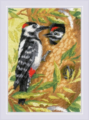 Woodpecker - Riolis