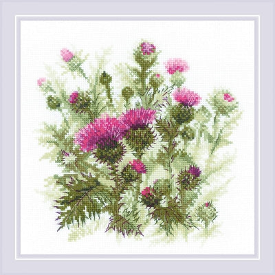 Thistle - Riolis