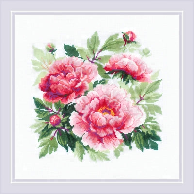 Tree Peony - Riolis