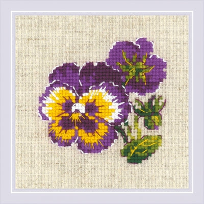 Pair Of Pansies - Riolis