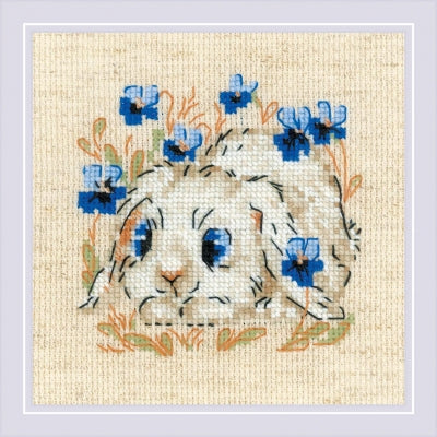Little Bunny - Riolis