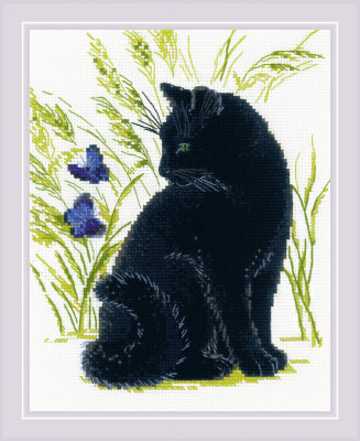 Black Cat - Riolis