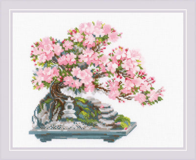 Flowering Bonsai - Riolis