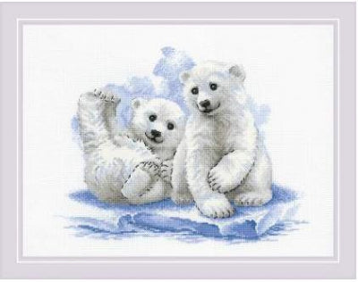 Bear Cubs On Ice - Riolis