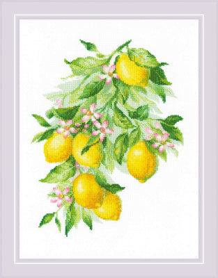 Bright Lemons - Riolis