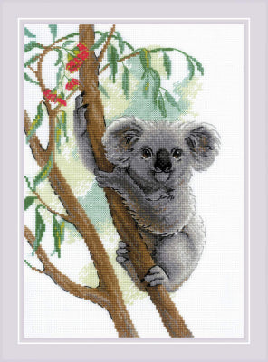 Cute Koala - Riolis
