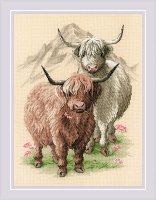 Highland Buddies - Riolis