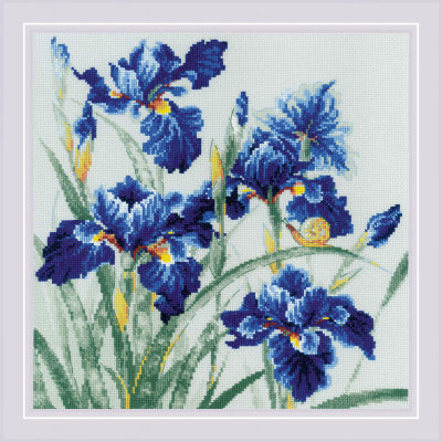 Blue Irises - Riolis