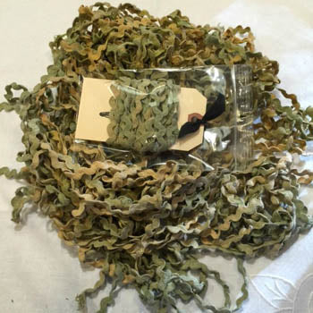 Mossy Rick Rack 1/2" - Lady Dot Creates