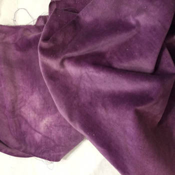Purple Onion Velveteen - Lady Dot Creates