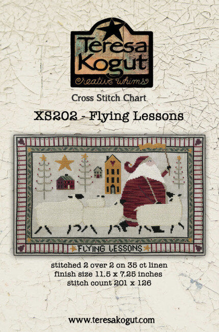 Flying Lessons - Teresa Kogut