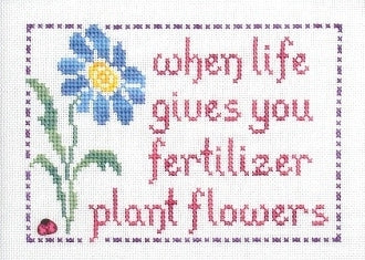 Plant Flowers - My Big Toe