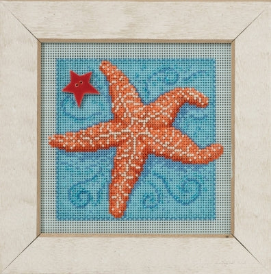 Starfish - Mill Hill