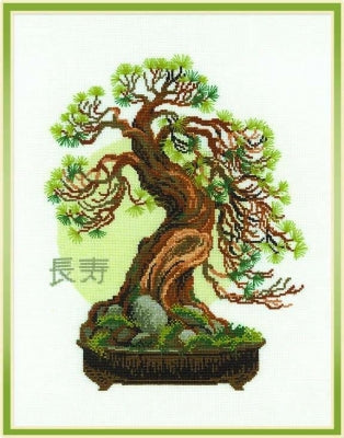 Bonsai Pine Wish Well Longevity - Riolis