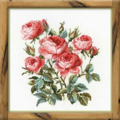 Garden Roses - Riolis
