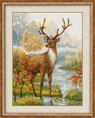 Deer - Riolis