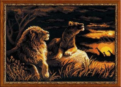 Lions In The Savannah - Riolis