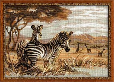 Zebras In The Savannah - Riolis