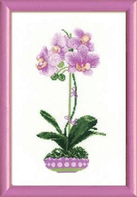 Lilac Orchid - Riolis