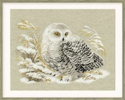 White Owl - Riolis