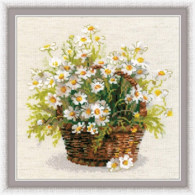 Russian Daisies - Riolis