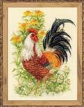 Rooster - Riolis