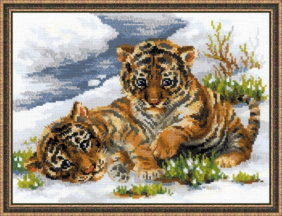 Tiger Cubs In Snow - Riolis