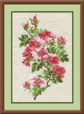May Wild Rose - Riolis