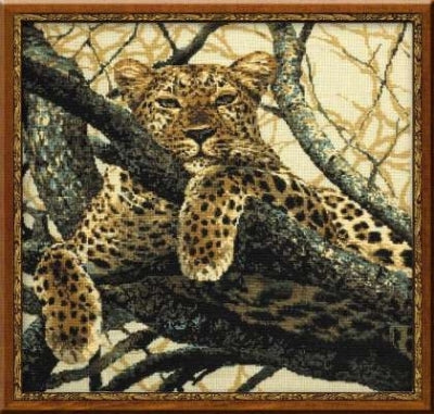 Leopard - Riolis