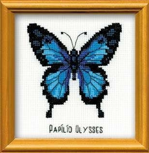 Ulysses Butterfly - Riolis