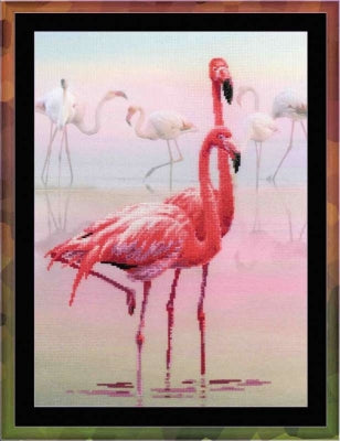 Flamingo - Riolis